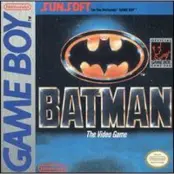 Batman The Video Game
