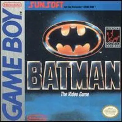 Batman The Video Game