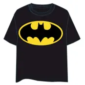 DC Comics Batman adult t-shirt