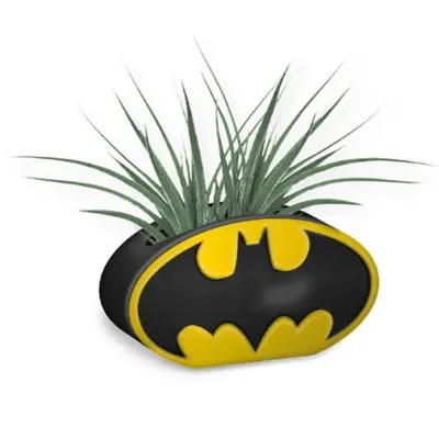 DC Comics - Batman Logo Shaped Vase (5261PLNTBM01)